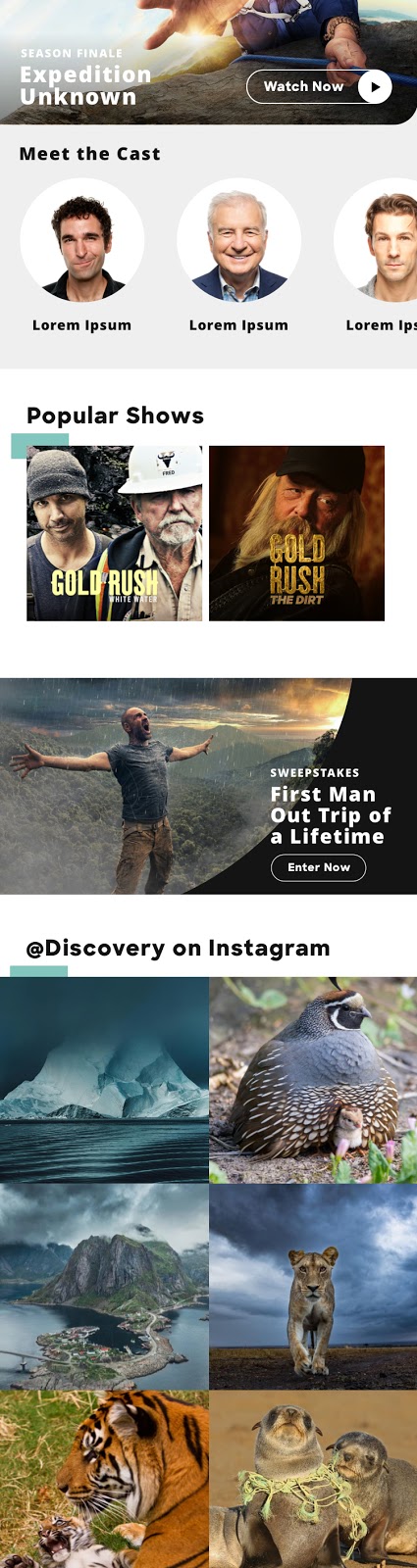 Discovery mobile website design